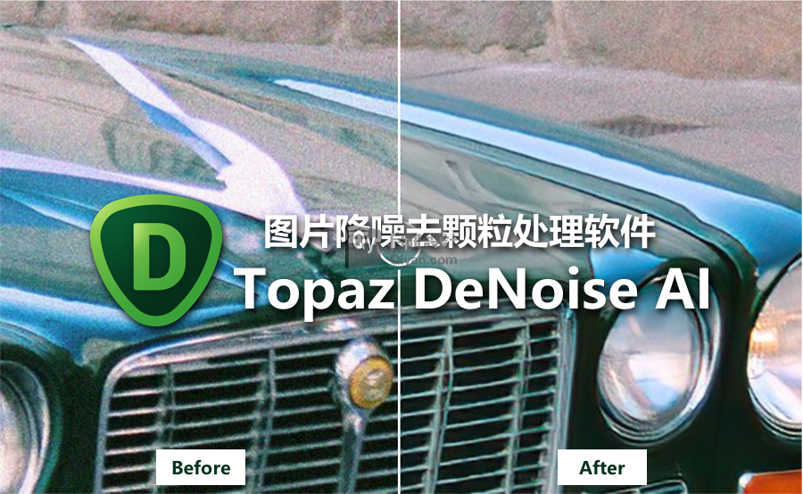 Topaz DeNoise AI（ 图像降噪工具 ）